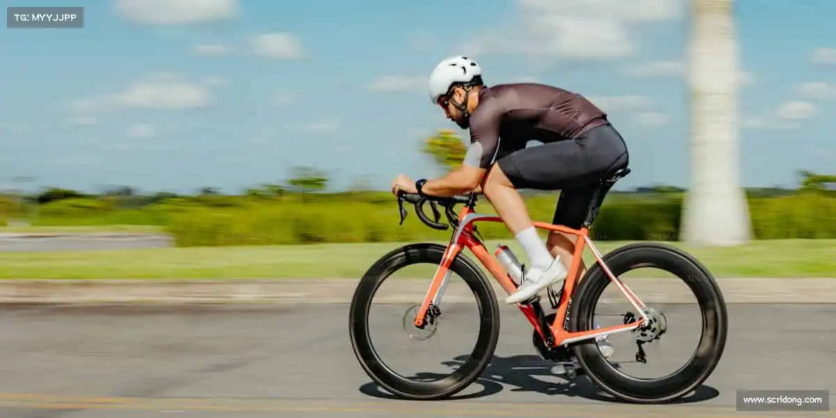 我们的品牌价值